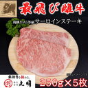 【ふるさと納税】【最飛び雌牛】飛騨牛A5等級サーロインステーキ　250g×5枚【配送不可地域：離島】【1520147】