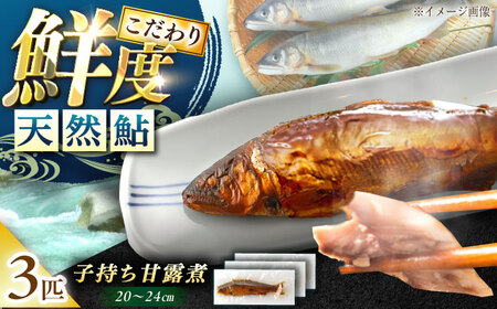 子持ち 天然あゆ の甘露煮 3匹【スピード配送】/ 恵那市 / 恵那物産館 [AUFS004]
