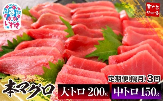 【定期便/隔月/計3回】本マグロ大トロ中トロセット350g（計1050g）|鮪 本鮪 本まぐろ マグロ トロ とろ 刺し身 さしみ さかな 海鮮 寿司 解凍レシピ付 1サクずつ真空包装
