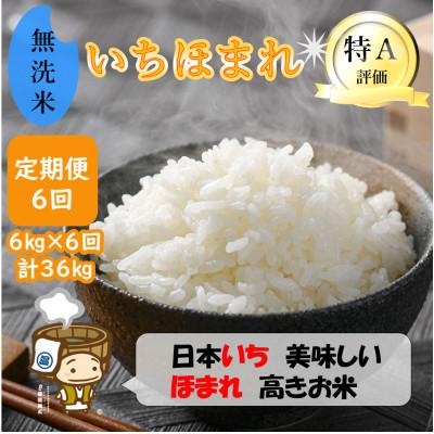 ふるさと納税 あわら市 【毎月定期便】いちほまれ 無洗米 2kg×3袋(計6kg)全6回