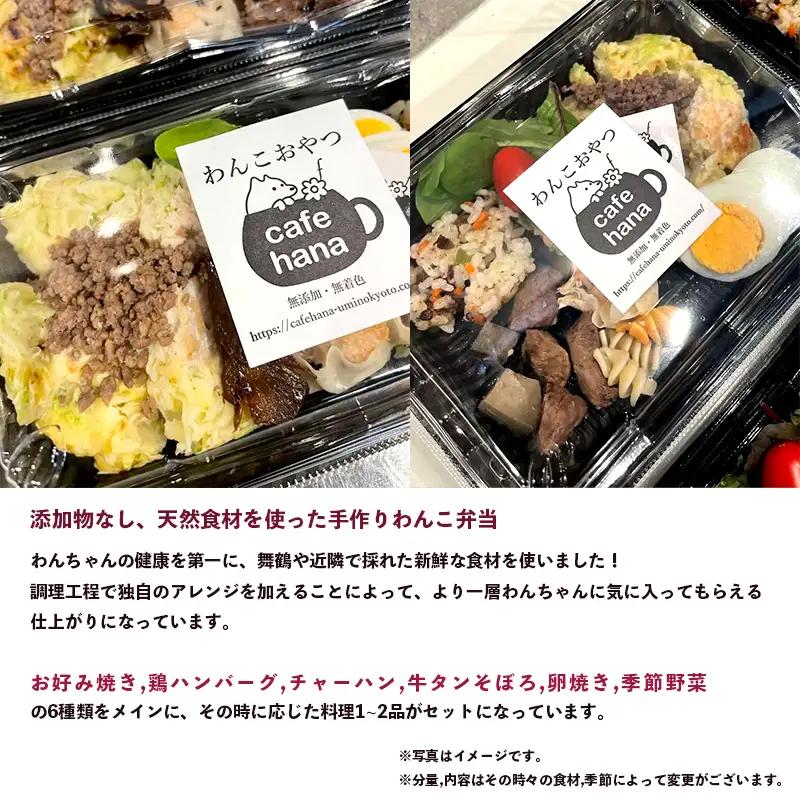 【定期便6回】わんこのお弁当セット Lサイズ