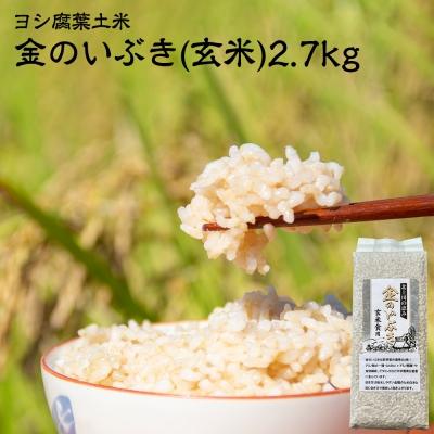 ふるさと納税 石巻市 米 令和7年産 玄米 宮城県産 ヨシ腐葉土米 金のいぶき 2.7kg(900g×3) 真空 小分け