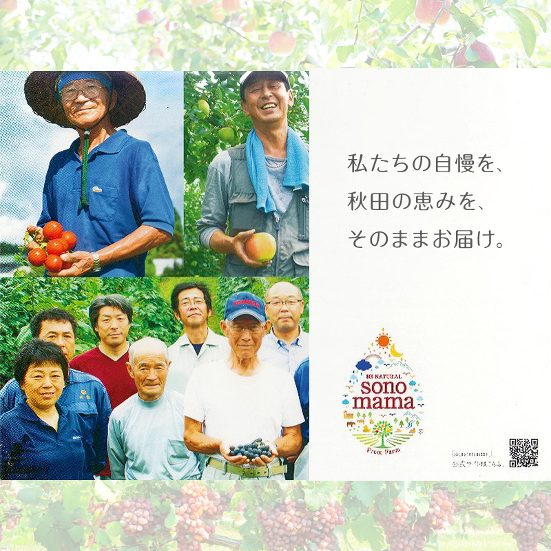 「sonomama」ミックス（160g×10本） りんごジュース 赤ぶどうジュース  ジュース 飲料 