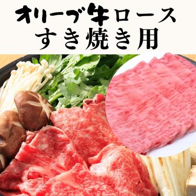 【ふるさと納税】オリーブ牛 ロース すき焼き用 500g 香川県産 黒毛和牛 和牛 国産牛 牛肉 お肉 肉 牛ロース ロース肉 すき焼き肉 すきやき すき焼き 鍋 瀬戸内海 オリーブ搾り果実 冷凍 ギフト 贈り物 内祝い お取り寄せ 行天食品 香川県 観音寺市