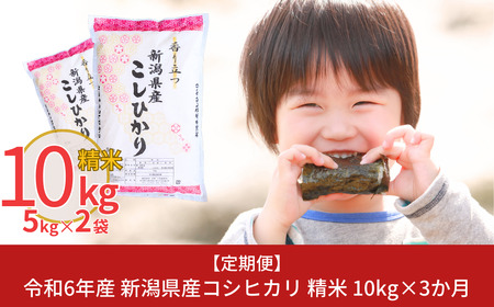  [定期便10kg×3ヶ月] 令和6年産 新潟県産コシヒカリ（こしひかり）計30kg 3か月（3ヵ月）連続でお届け [株式会社白熊]【038S004】