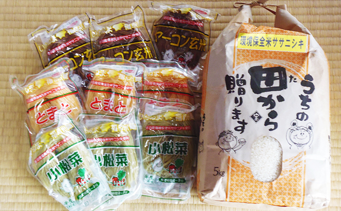 米 岩沼産環境保全米 ササニシキ 5kg 福幸米麺 9個 セット お米 麺類 調理 宮城 宮城県 岩沼市