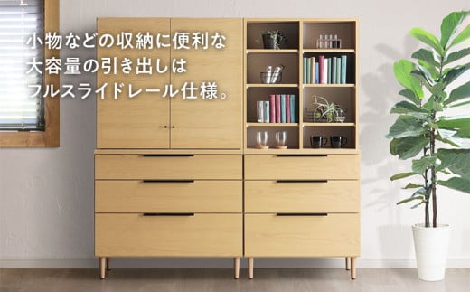 フリーボード Salute サルテ 扉付 幅80cm NA ナチュラル ベージュ 家具 収納 書棚 本棚 完成品 【北海道・東北・沖縄・離島不可】 CN015-NA