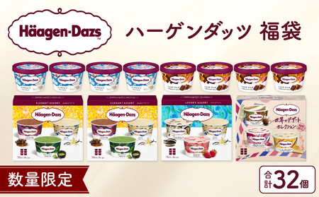 【数量限定!!】ハーゲンダッツ 大人の贅沢アイスクリーム福袋(アソート ボックス＆ミニカップ)アイスクリーム アイス スイーツ デザート_H0026-067