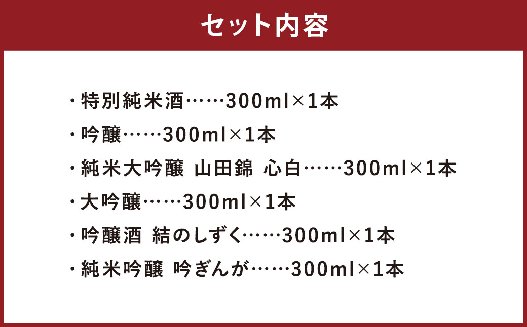 【南部美人】飲みきり宅飲みセット 300ml×6本セット 