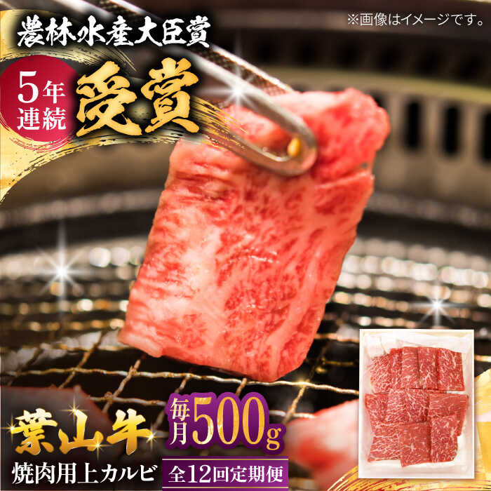 【ふるさと納税】【全12回定期便】 葉山牛 焼肉用上カルビ500g / 牛肉 牛 肉 お肉 国産 やきにく 焼き肉 カルビ かるび 上カルビ 上かるび BBQ ブランド牛 和牛 黒毛和牛 国産牛 贈答 ギフト 冷凍 葉山 定期 定期便 【有限会社葉山旭屋牛肉店】[ASAP046]