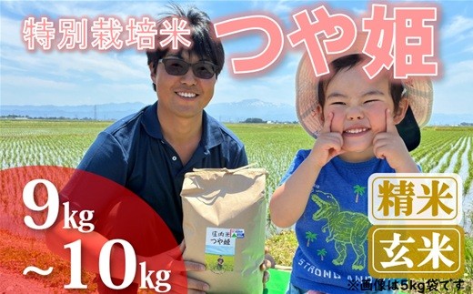 
                  【ecofarmすがわら】特別栽培米つや姫9kg～10kg※【精米】または【玄米】選択可（令和8年産新米予約）
                