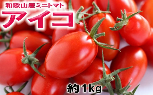 
                  和歌山産ミニトマト「アイコトマト」約1kg（M・Lサイズおまかせ）［2027年出荷分］【tec101】
                