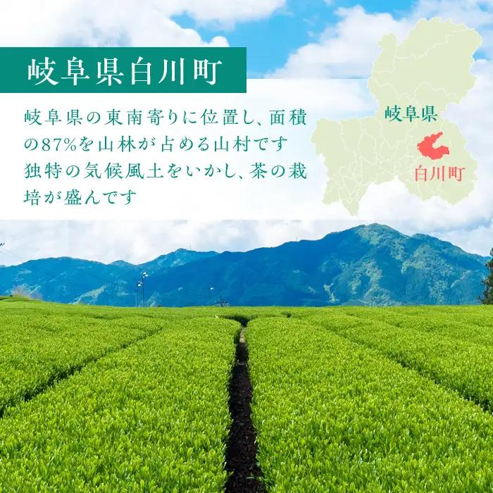 お山の玄米麺 計1.2kg（120g×10パック） Sunpo[AWBC003]麺