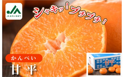 ＼農家を応援キャンペーン実施中／【ご家庭用】【先行予約】甘平レギュラー箱 ５ｋｇ 【KC00780】