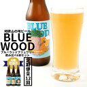 【ふるさと納税】【定期便全12回】和歌山の地ビールブルーウッドブリュワリー飲み比べ6本セット