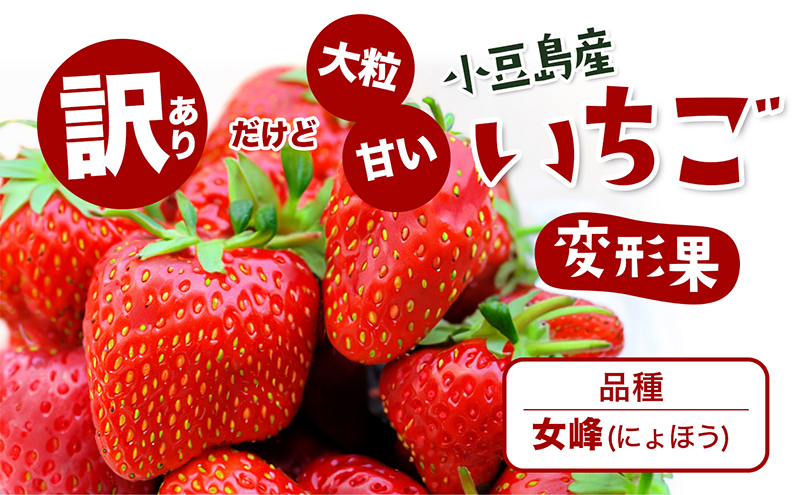 【 小豆島 】【配送エリア限定商品】＜ 訳あり ・ 大粒 ＞ 小豆島産 変形果いちご 1.4kg いちご 苺 イチゴ 女峰 女峰いちご 変形 果物 フルーツ くだもの 香川 香川県 土庄 土庄町