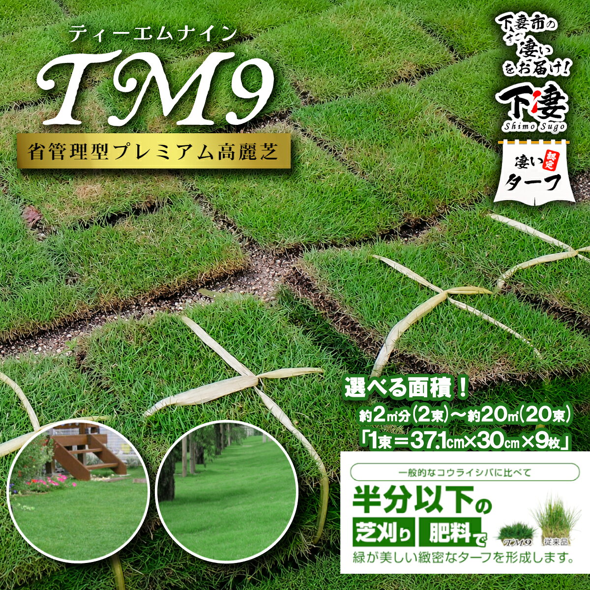 【ふるさと納税】【先行予約】《選べる面積》2平米～20平米 省管理型プレミアム高麗芝 「TM9（芝生）」コウライシバ ティーエムナイン 【2027年3月下旬頃から出荷予定】天然芝 しば ガーデニング 家庭用 庭 手入れ楽 簡単 植物 プラント 人気 おすすめ 送料無料 下妻市