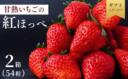 【1月発送】甘熟いちご 紅ほっぺ 2箱 (54粒) | いちご 苺 フルーツ 果物 茨城県 龍ケ崎市