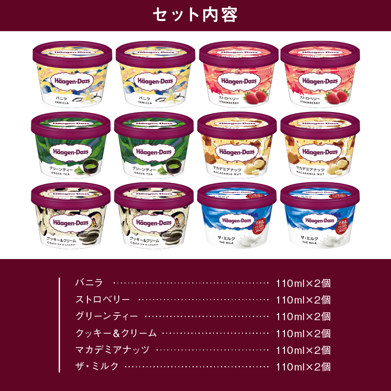 【着日指定できます】ハーゲンダッツ『ミニカップ12個セット（定番フレーバー＆新商品 ガナッシュショコラ）』アイスクリーム アイス スイーツ デザート_H0016-114