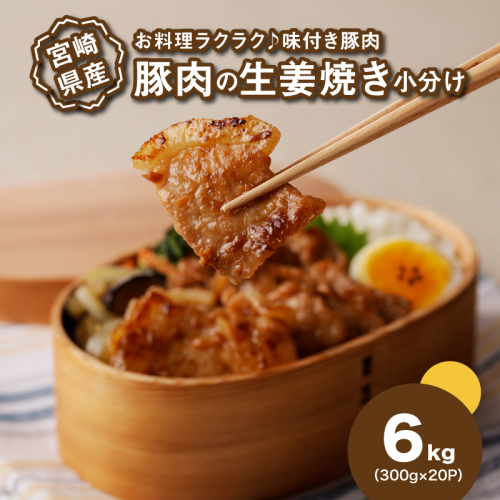 簡単調理 宮崎県産豚肉の生姜焼き 小分け 6kg(300g×20P)_K16_0148_2