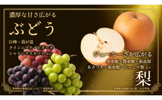 【定期便】 毎月1回連続6か月(計6回)【特選・桐箱2段】極上フルーツ10～12種「極み」セット（茨城県共通返礼品） 定期便 頒布会 田舎の頑固おやじが厳選！ 人気 厳選 果物 くだもの 旬 旬の果物