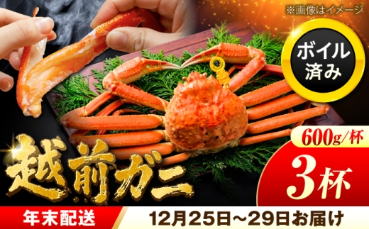 【先行予約/12月25日より順次発送】【年末希望】 越前がに 600ｇ×3杯 ズワイガニ ずわいがに ボイル 冷蔵 小浜市 / まるほ商店 【配送不可地域：北海道・沖縄・離島】[BFCS035]