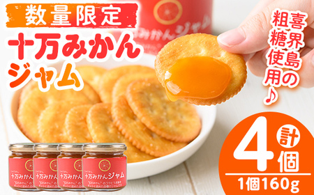 s516 ≪毎月数量限定≫十万温州みかんジャム(計4個・1個160g)国産 果物 蜜柑 鹿児島 国産 九州産 フルーツ 柑橘 ミカン 蜜柑 調味料【田野農園】