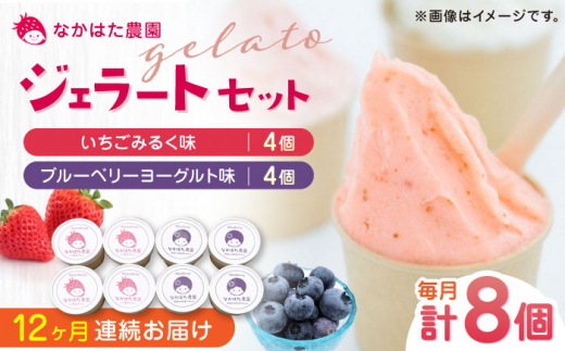 【限定数量】【全12回定期便】熊本県産 いちご ブルーベリー ジェラート セット 計8個 ( 2種 × 各4個 ) アイス カップ 冷凍 農園直送 産地直送 山都町産 イチゴ 苺 フルーツ 果物 【なかはた農園】[YBI044]