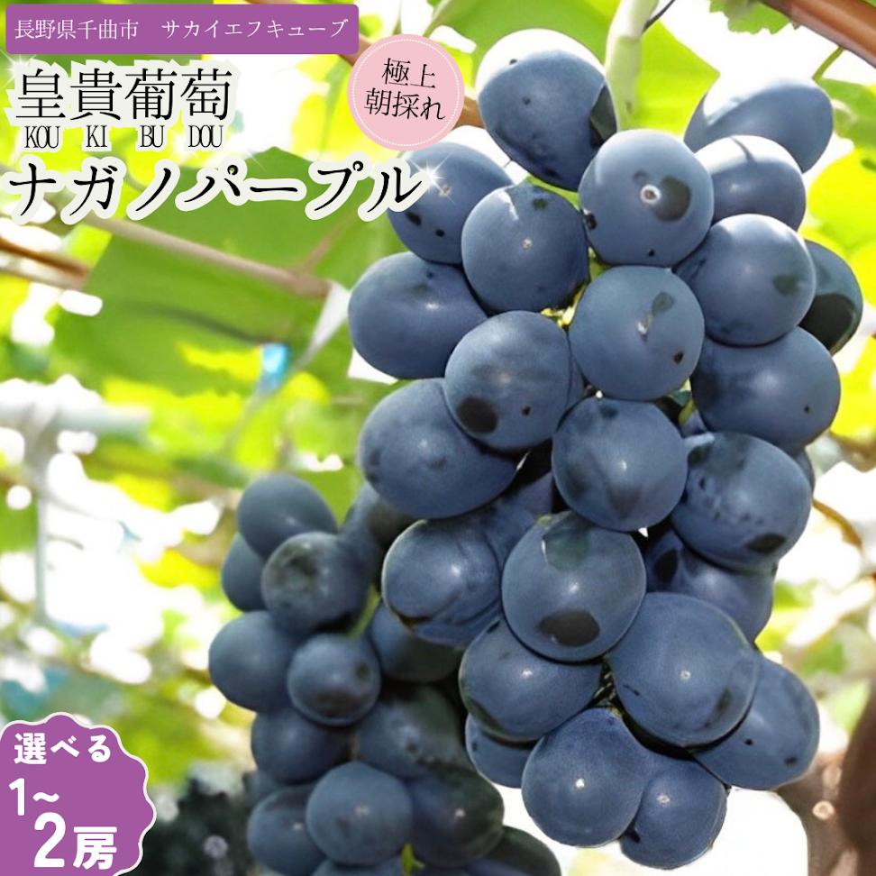 【ふるさと納税】【2025年先行予約】ぶどう ナガノパープル 特秀品 加湿ハウス栽培 1房 2房｜ 葡萄 黒ぶどう フルーツ 果物 千曲市 長野県産 信州