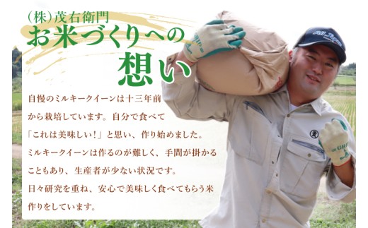 「茨城県産 茨城県産米」「霞ヶ浦のおいしいお米」令和7年産ミルキークイーン10kg【米 ごはん 霞ヶ浦 茨城県 阿見町】（13-01-2）