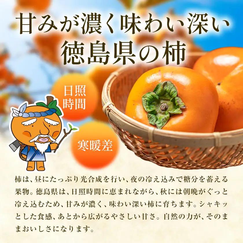 訳あり たねなし柿 1.5kg 柿