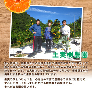 【ふるさと納税】【先行予約】早生みかん （土実樹みかん） 7kg 訳あり 【2025年11月下旬～12月下旬頃発送】 柑橘 フルーツ みかん 産地直送 お取り寄せ 送料無料