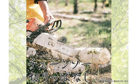 千葉県産切りっぱなし檜丸太3本BBQ・キャンプ・スウェーデントーチ・DIYの素材として便利！ ひのき 木 アウトドア バーべキュー 薪 焚火 火持ちが良い 薪割り スツール 