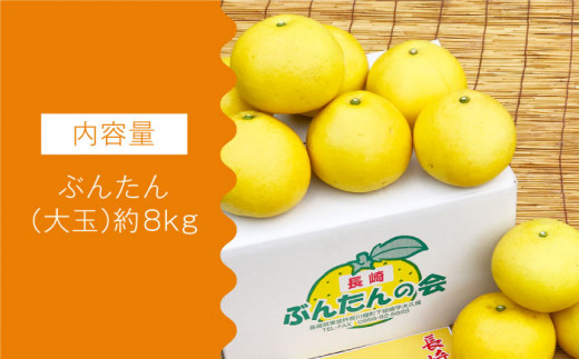 【数量限定】ぶんたん 大玉 約8kg / ブンタン 文旦 柑橘 みかん 蜜柑 かんきつ 果物 くだもの フルーツ ミカン【長崎ぶんたんの会 】[OAF001]