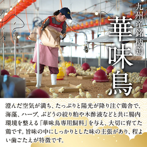 博多華味鳥　水たきセット　HS-A1(芦屋町)【配送不可地域：離島】【1368041】