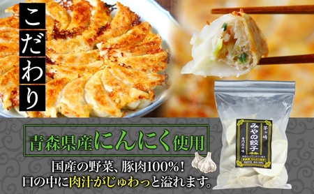 みやの餃子 スタミナ餃子 24個×3セット ラー油付き 餃子 ギョーザ ギョウザ 冷凍 お店の味 専門店 餃子専門店 国産 手づくり にんにく ラー油 一人暮らし 備蓄 ストック お取り寄せ 送料無料