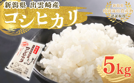 新潟県産 コシヒカリ 5kg 出雲崎 令和7年産 | コシヒカリ 出雲崎町