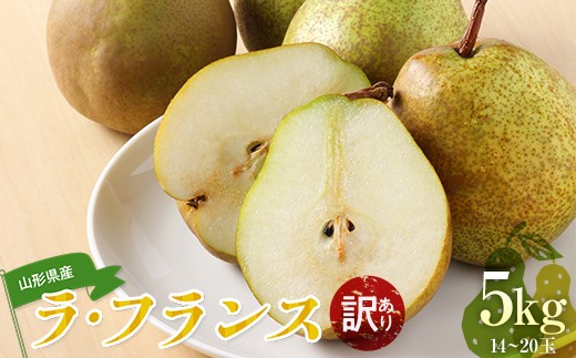 【2026年度先行予約】山形県産 訳あり ラ・フランス 5kg  なし ナシ 梨 デザート フルーツ 果物 くだもの 果実 食品 山形県 FSY-0725