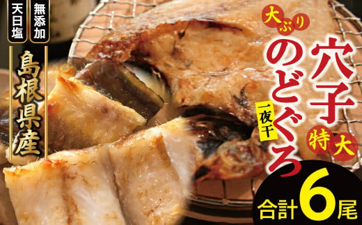 
大ぶり「のどぐろ一夜干し」＆特大「穴子一夜干し」【のどぐろ干物 176～200g×3尾 穴子干物 50cm前後×3尾 のどぐろ ノドグロ あなご アナゴ 干物 無添加 真空パック 父の日 母の日】
