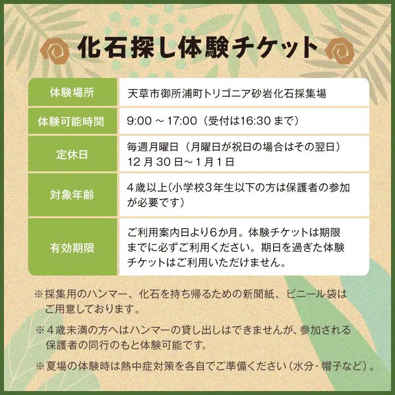 S188-005_化石ディグ利用券(5名様)