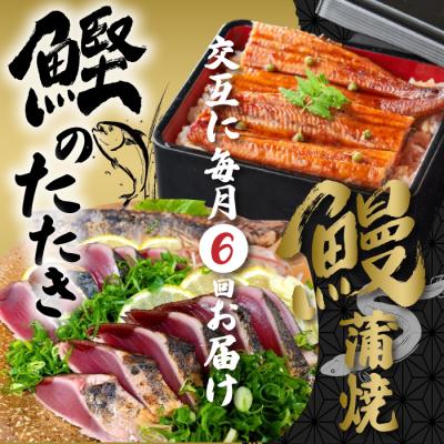 ふるさと納税 四万十市 【6回定期便】うなぎの蒲焼と鰹のタタキの月替わり定期便 R7