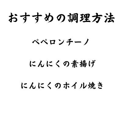 ふるさと納税 本別町 【先行受付】北海道十勝本別町産土付きにんにく白玉王1kgSサイズ |  | 02