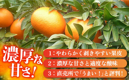 【ご家庭用】 麗紅（れいこう） 3kg 長与町/果豊園[ECL001] / れいこう みかん 柑橘 麗紅 れいこう みかん 柑橘 麗紅 れいこう みかん 柑橘 麗紅 れいこう みかん 柑橘 麗紅 れい