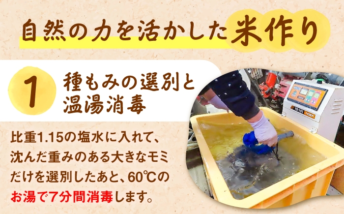 きぬむすめ 米 kome 島根 無農薬 有機JAS