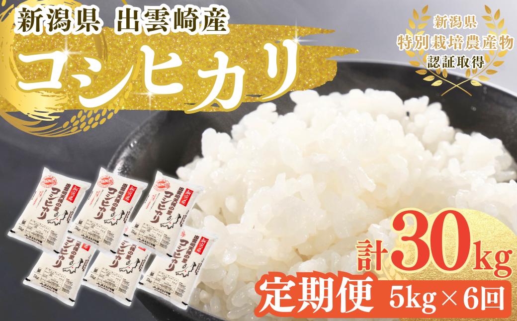 【令和7年産新米】 新潟県産 特別栽培米 コシヒカリ 定期便 5kg 6か月 出雲崎町産 「天領の里」白米 精米 お米 こしひかり  合計30kg　