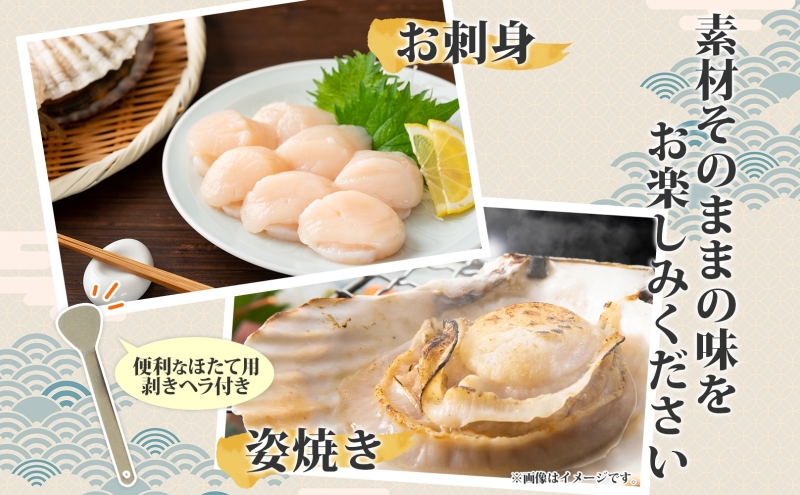 北海道産 活ほたて 2年貝 約 2kg 15枚～22枚 2025年3月中旬～3月下旬頃お届け 殻付き 帆立 ホタテ ほたて 貝 魚介 海産 海鮮 貝柱 噴火湾 刺身 焼き フライ 生産者支援 産地直送