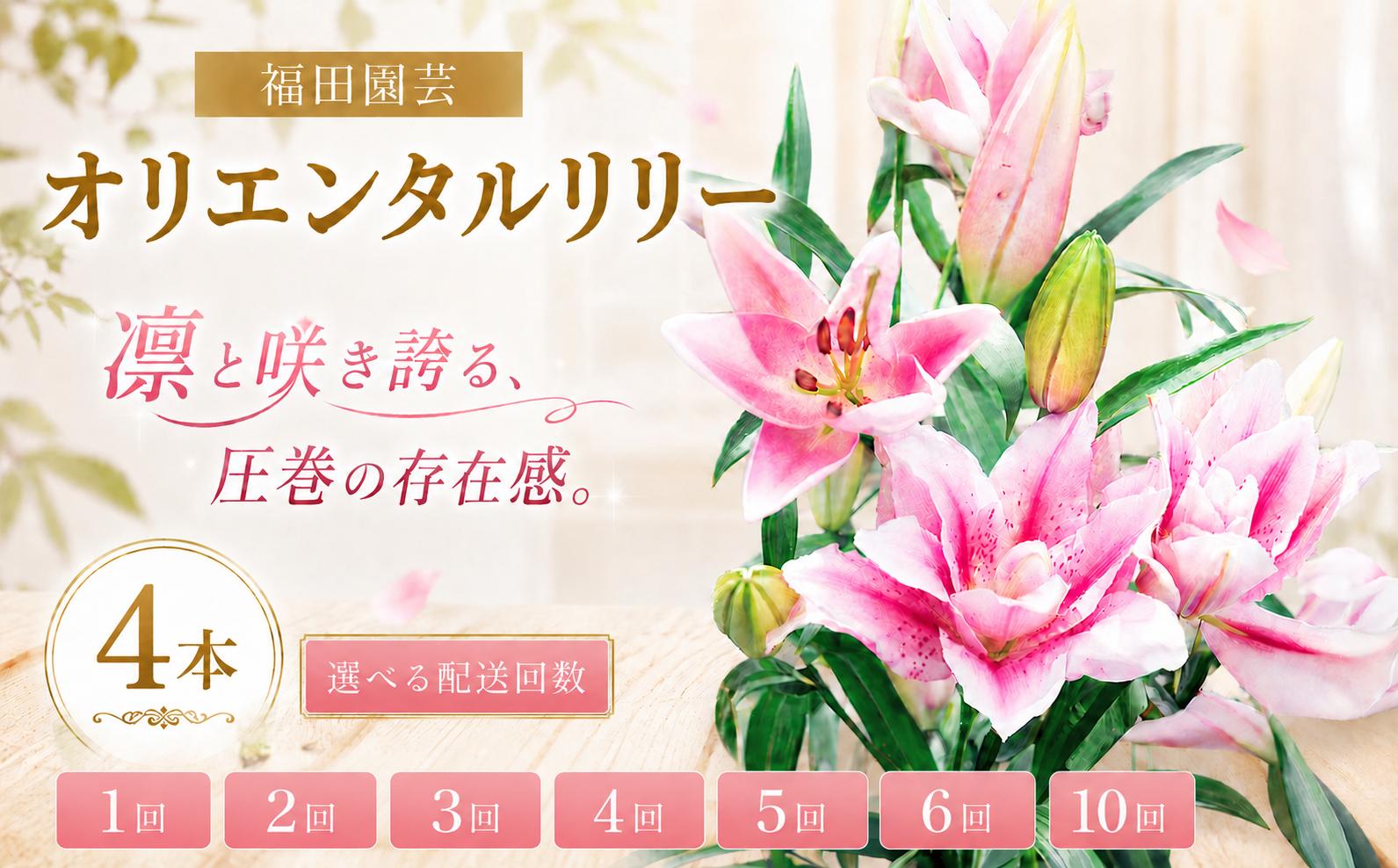 
                  ユリ オリエンタルリリー 4本セット選べる 配送回数 1回 2回 3回 4回 5回 6回 10回 花束 贈り物 ギフト プレゼント 誕生日 母の日 父の日 敬老の日 記念日 お祝い 結婚式 ウェディング ブーケ 華やか 大輪 香り 優雅 エレガント つぼみ ピンク 白 高級 切り花 福田園芸 花好き こだわり 栽培 メッセージカード ラッピング 安芸市 高知県
                