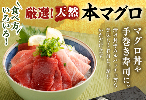 厳選 天然 本マグロ セット【 大トロ 中トロ 赤身 】６００ｇ以上 本まぐろ 100% 冷凍 刺身 海鮮 丼 さく 柵 ブロック