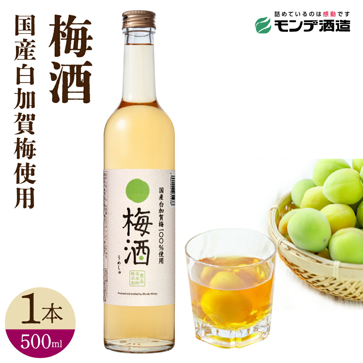 【ふるさと納税】 梅酒500ml FAE016