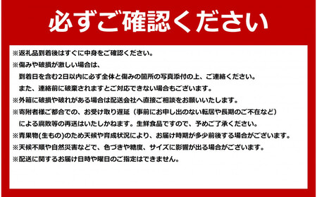 【先行予約】北海道 赤肉メロン LL玉×2個 (2026年7月発送開始) 